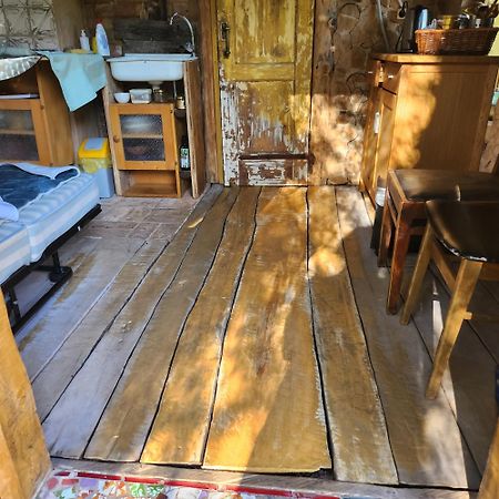 Baltas Raganinas Pirts Villa Sabile Dış mekan fotoğraf
