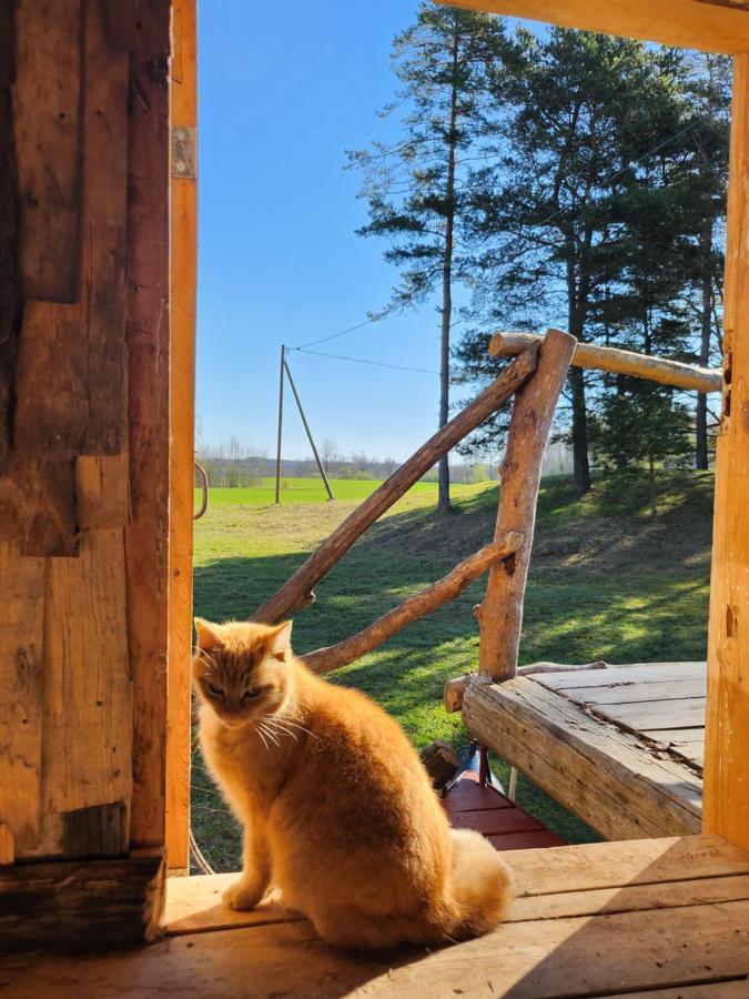 Baltas Raganinas Pirts Villa Sabile Dış mekan fotoğraf
